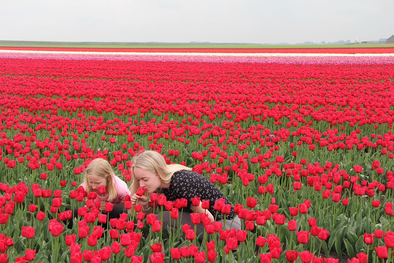 Nord- und Südholland