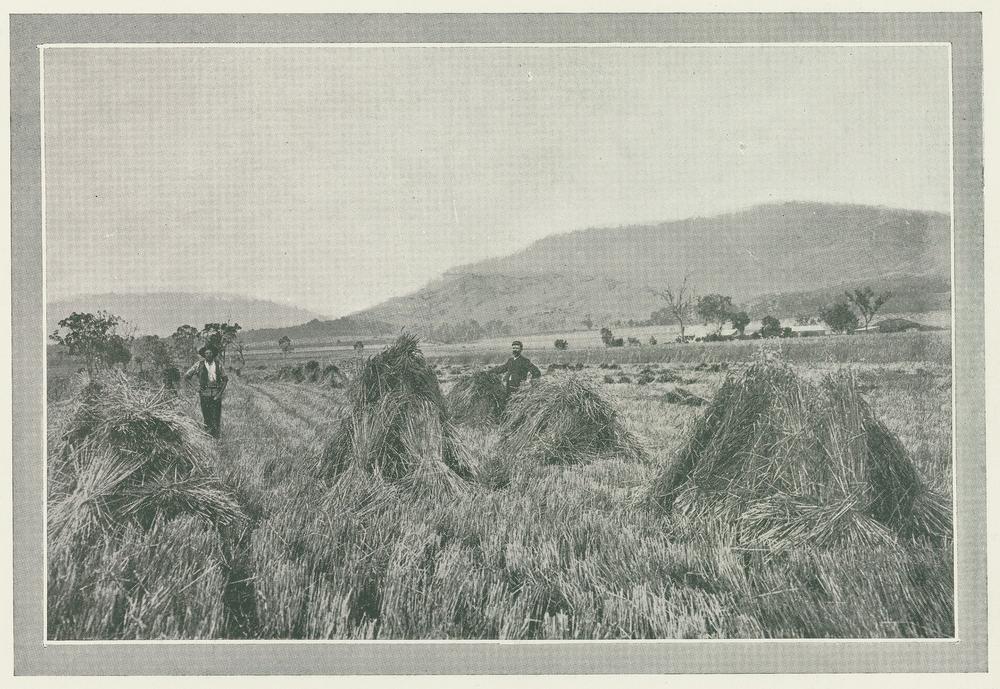 Bauernküche: Aufklärung