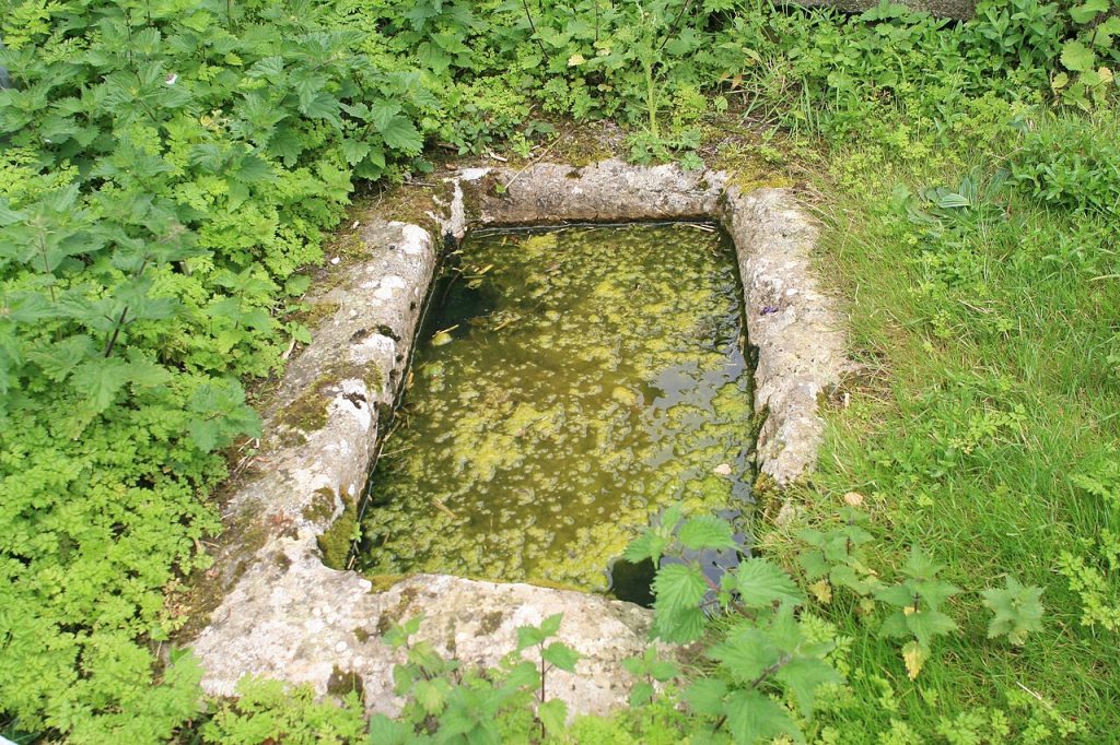 Klosterküche: Frühmittelalter