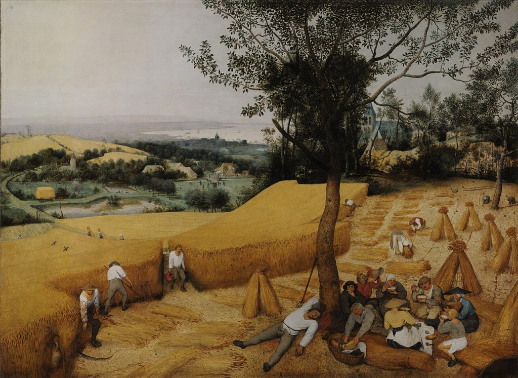 Bauernküche: Renaissance und Entdeckungen