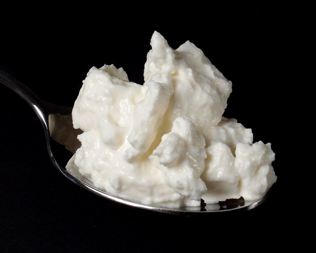 Bibiliskäs