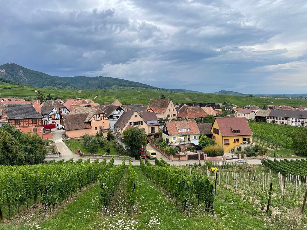 Луковый пирог Эльзаса