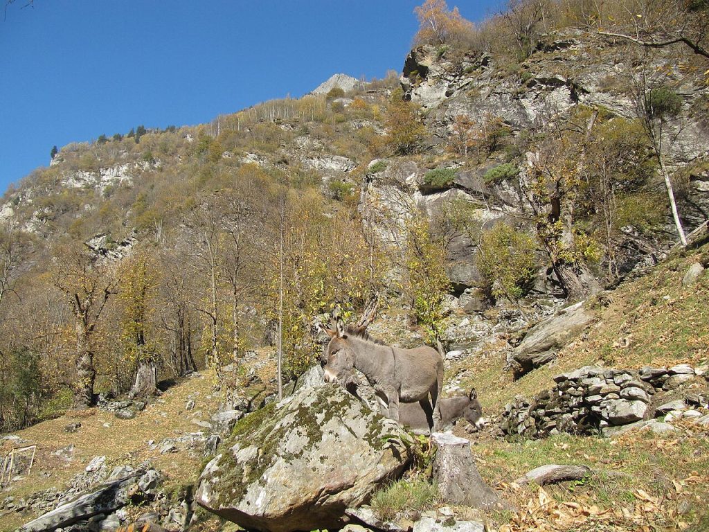 Tessin