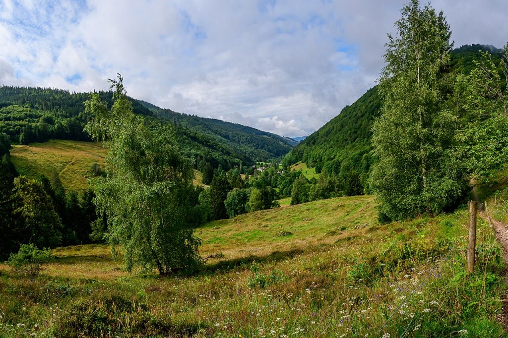 Schwarzwald
