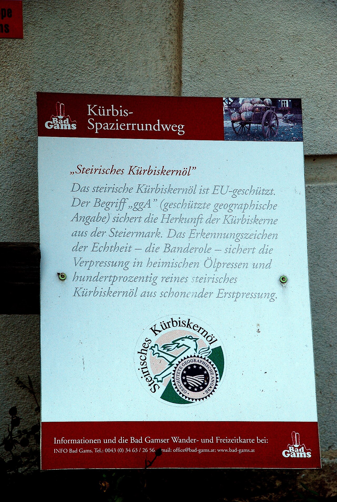 Steirisches Kürbiskernöl