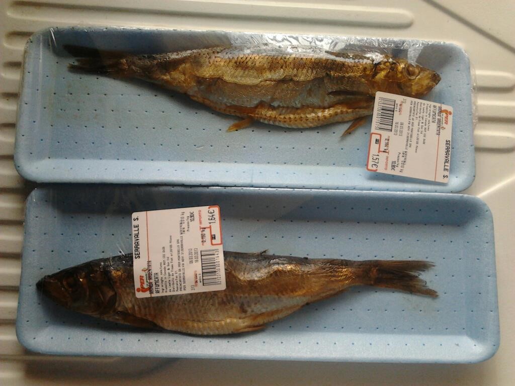 Hering und der Fischhandel der Hanse